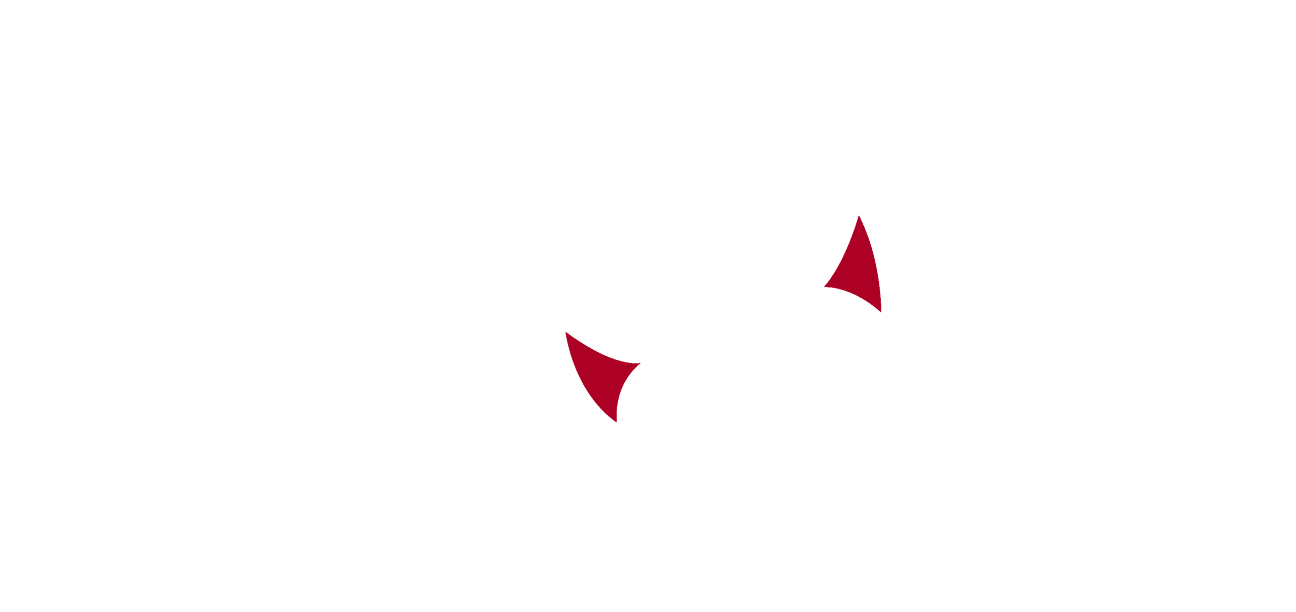 Blue Anchor Services Congo