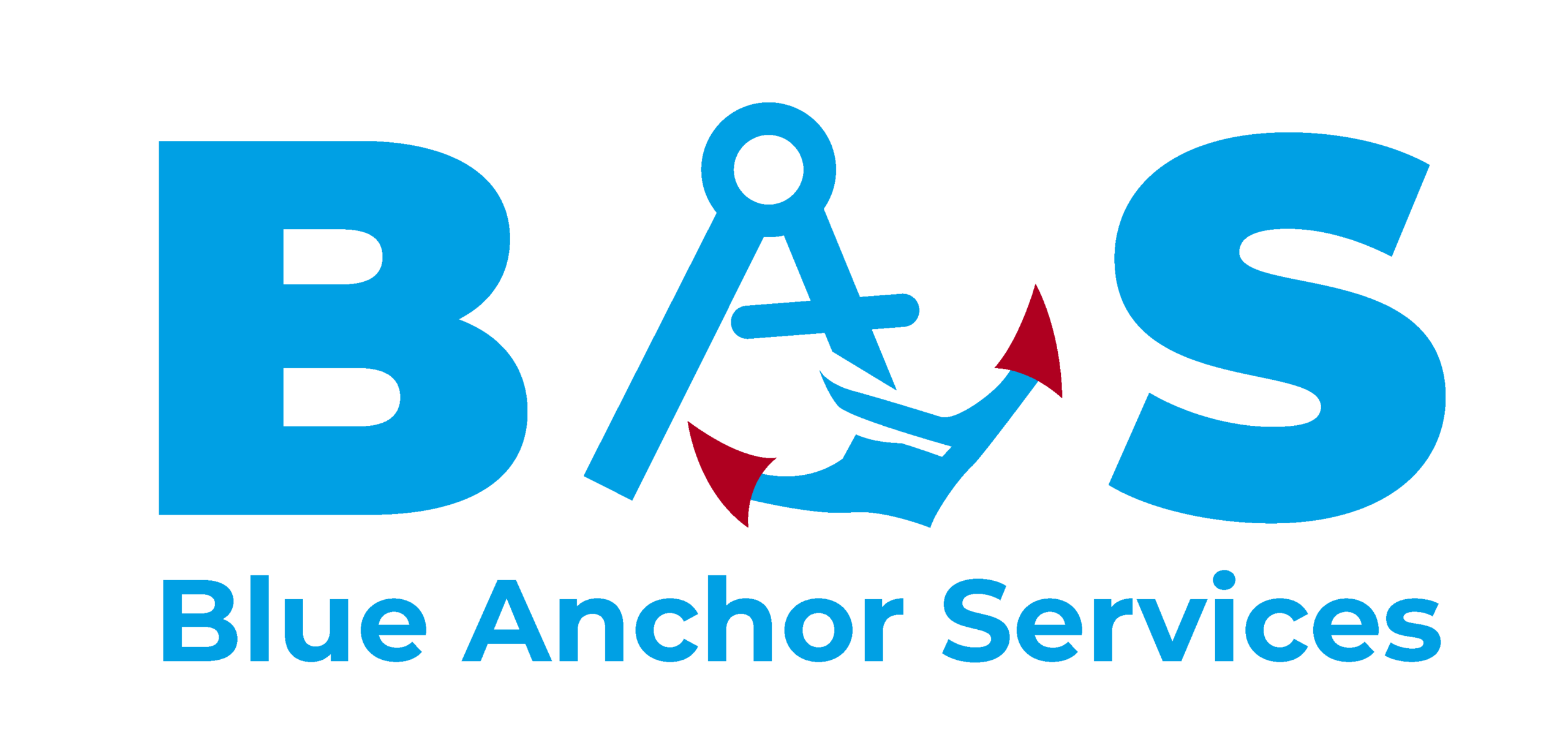 Blue Anchor Services Congo